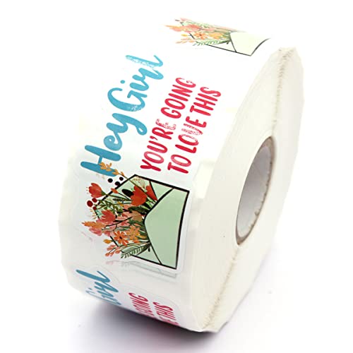 Hey Girl You’re Going to Love This Stickers,Funny Small Business Sticker for Mail Envelopes Package Packing 500 Labels Per Roll - color: Hey Girl