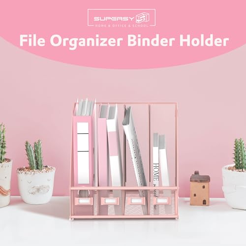 4-Compartment Magazine File Holder and File Organizer for Desk, Pink - color: Pink