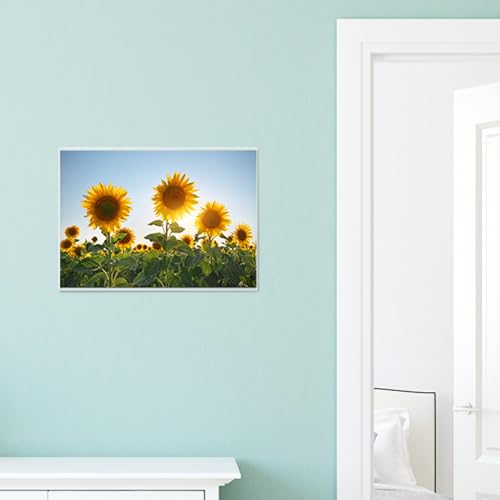 MaxGear Acrylic Sign Holder 8.5 x 11 Wall Mount, 12 Pack, Landscape - size: 11"x8.5"-12Pack