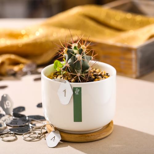Yaocom 50 Pcs Hollowed Stainless Steel Number Tags,Diamond, 1-50 - style: Diamond, 1-50