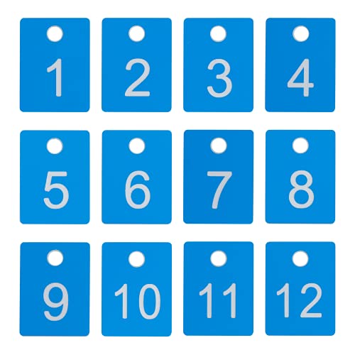 ABS Plastic Numbered Rectangle Key Tags ID Tags Number Disc with Hole (1-100, Blue) - color: Blue, size: 1-100