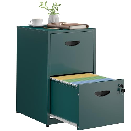 SteeLoong 2 Drawer File Cabinet,Metal Office File Cabinet with Lock,Green - color: Green, style: 2 Drawer Light Duty