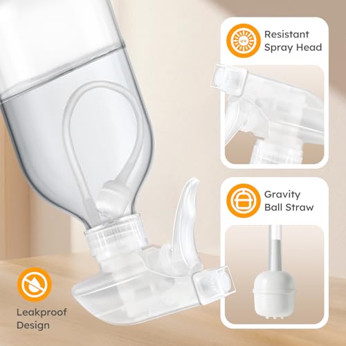Tecohouse 360° 16 OZ Clear Glass Spray Bottles 2 Pack - color: Clear