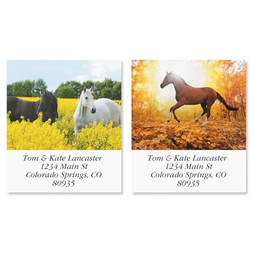 Love Horses Square Return Address Labels (6 Designs) - Set of 144 1-1/8" x 2-1/4" Self-Adhesive, Flat-Sheet Label - style: Love Horses