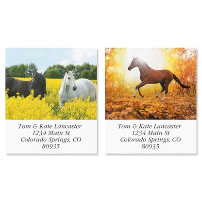 Love Horses Square Return Address Labels (6 Designs) - Set of 144 1-1/8" x 2-1/4" Self-Adhesive, Flat-Sheet Label - style: Love Horses
