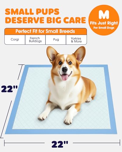 Powools Puppy Pads, 22 x 22 in, Super Absorbent, Spill-Proof, 150 Packs - size: 22" × 22" - 150 Packs