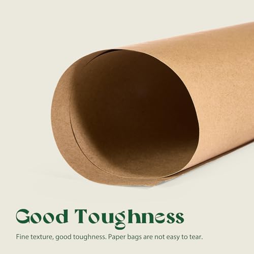 MESHA Brown Kraft Paper Bags 10x5x13 Inch 100Pcs Gift Bags with Handles - color: Brown 10x5x13 Inch, size: 1 Count (Pack of 100)