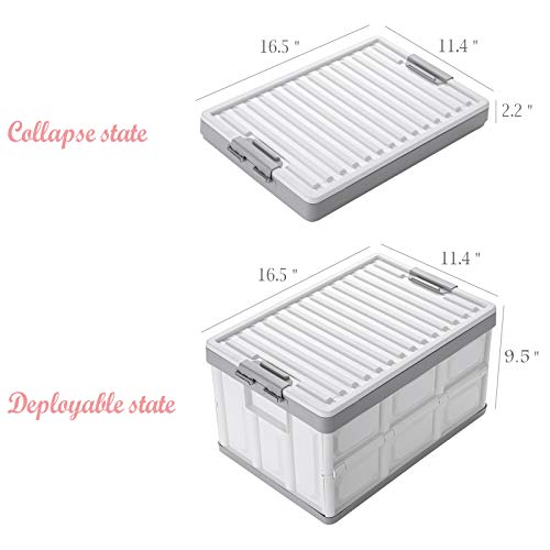 Collapsible Storage Bins with Lids 30L, Folding Plastic Stackable Utility Crates 2-Pack, Durable Containers for Home & Garage Organization - Oyster White - color: White