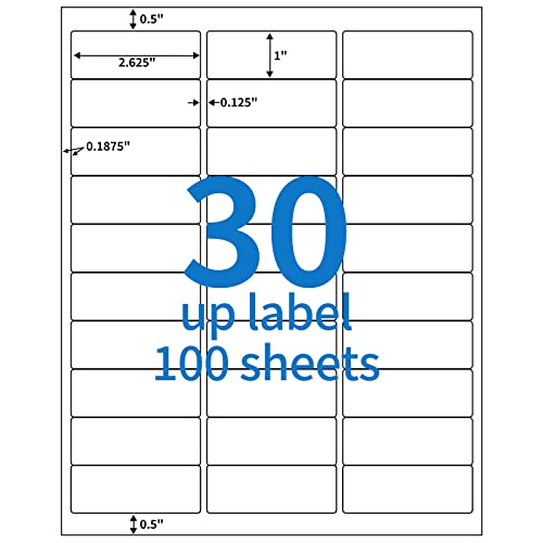 3000Pcs 1" X 2-5/8" Address Shipping Labels 30 Up FBA Product Labels - size: 100 sheets, style: 30 up-1"x2-5/8"