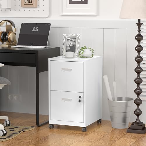 SteeLoong 2 Drawer File Cabinet,Metal Mobile File Cabinet with Lock White - color: White, style: 2 Drawer on Wheels