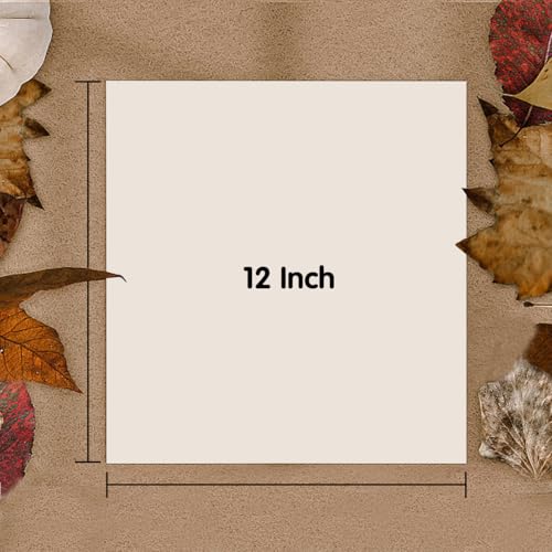 GRANDAN 12x12 inch Packing Paper for Moving, 500 Sheets Protecting Fragile Glasses, china and Artworks, Small White Square Wrapping Paper for Moving Box Fillerc & Shipping - size: 500 sheets