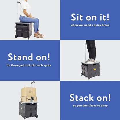 dbest Products Quik Cart Standard Collapsible Rolling Crate - Gray Lid - color: Gray, style: Standard