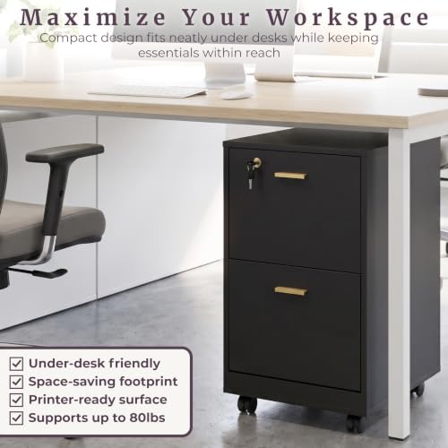 Lavish Home 2-Drawer Wooden File Cabinet with Lock, Black, 16” x 27” - color: Black, style: Gold Hardware