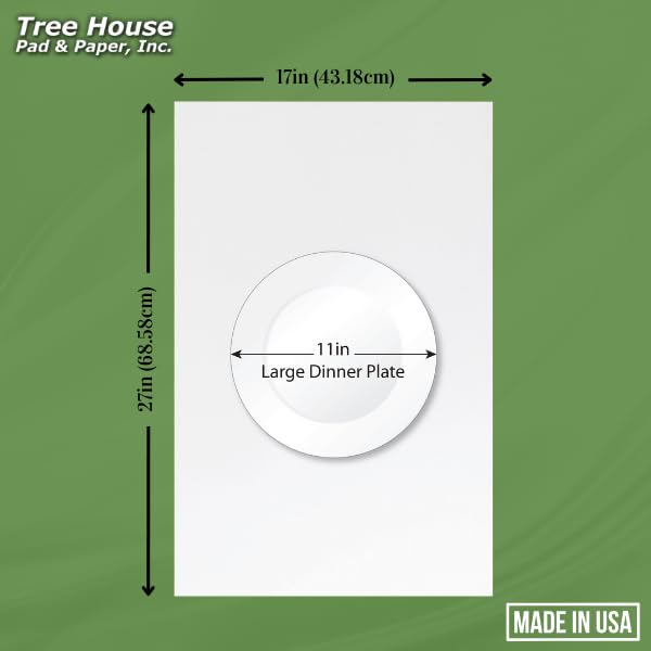 Tree House Packing Paper for Moving – 630 Newsprint Packing Paper Sheets – 27” x 17” Paper for Packing Dishes, Shipping, and Moving Supplies – Recyclable Movers’ Paper – Made in USA - size: 630 Sheets