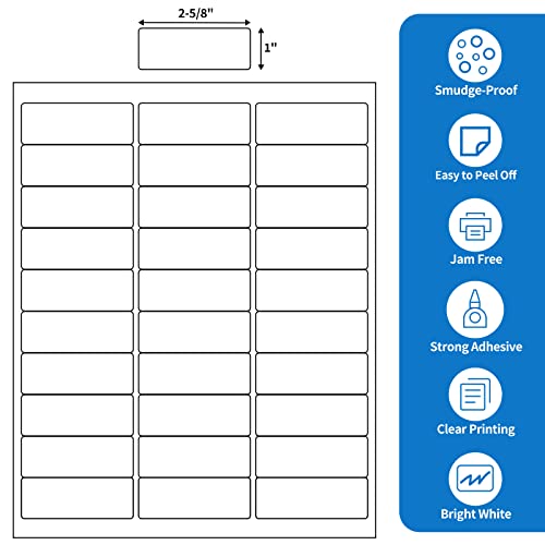 3000Pcs 1" X 2-5/8" Address Shipping Labels 30 Up FBA Product Labels - size: 100 sheets, style: 30 up-1"x2-5/8"