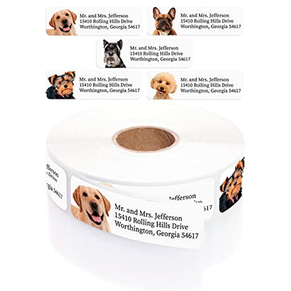 Alternating Dogs Rolled Address Labels / 250 Personalized Return Address Labels/Designer Address Stickers in Elegant Plastic Dispenser - size: 250 Labels, style: Dog Portraits