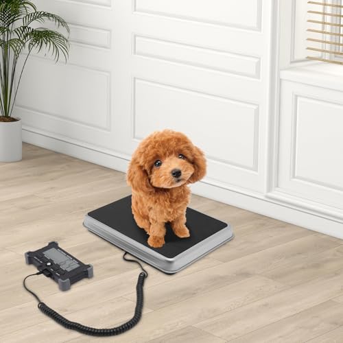 Shipping Scale 440lbs Digital Heavy Duty Postal Scale, Luggage Weight Scale Postage Scale for Packages Postage Luggage