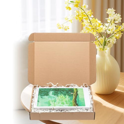Wowxyz Shipping Boxes 12x9x2" 30 Pack Brown Corrugated Cardboard Mailer - size: 12x9x2"