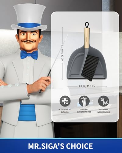 MR.SIGA Dustpan and Brush Set, Bamboo Handle, Gray, 1 Set - color: Gray
