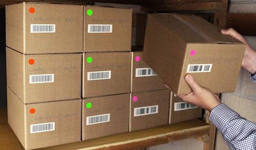 ChromaLabel 3/4 Inch Dot Stickers, Fluorescent Pink, 1008/Pack - color: Fluorescent Pink