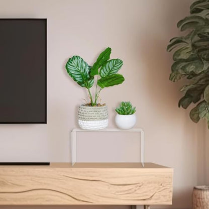 RattanView 2 Pcs 14 Inch Large Clear Acrylic Shelf Riser, 5mm Thick - color: Clear, size: 14 Inch, 5 mm