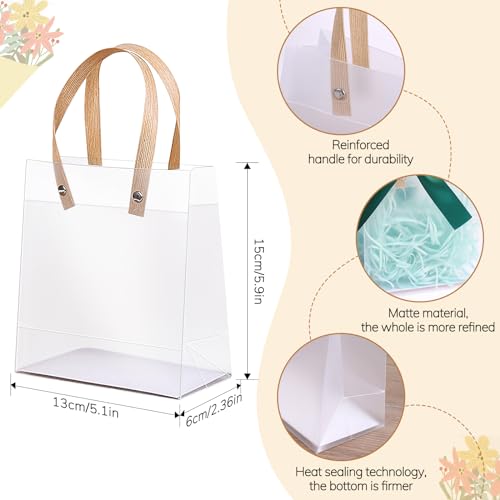 Clear Plastic Gift Bags with Handles,Small Favor Bags,20 Pcs