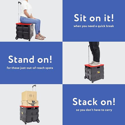 dbest Products Quik Cart Standard Collapsible Rolling Crate - Red Lid - color: Red, style: Standard