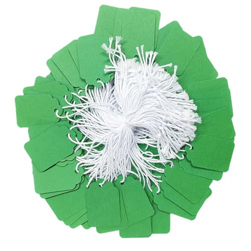 300 Pcs 1.38x0.87 Inches Green Blank Jewelry Price Tags with String Attached Retail Paper Gift and Sale Hang Tag Handwritten Price Display Lables for Pricing Clothes Necklace & Merchandise - color: Green, size: 1.38x0.87 inches-300P