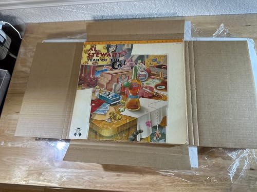 Vinyl Record White LP Shipping Boxes Set 12.6" x 12.6" x 1" Record Mailers Corrugated Cardboard Boxes Album Paper Box (5)