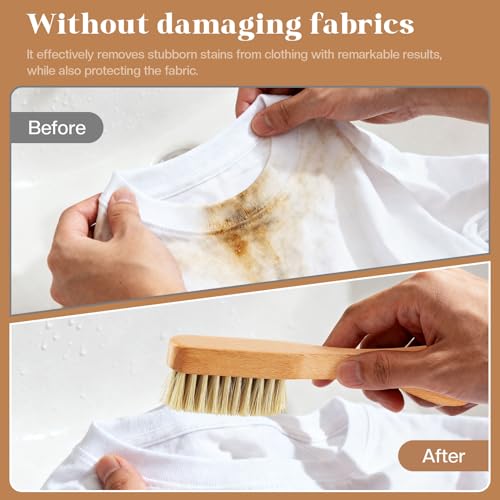 3 Pcs Wooden Laundry Stain Brush Stain Remover Dauber Brushes with Square Head Boar Bristle Small Stain Brush for Clothes for Scrubbing Stains from Furniture Fabric Leather(3 Pcs H) - style: 3 Pcs H