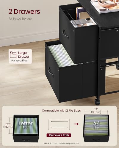 VASAGLE 2-Drawer File Cabinet, Mobile Printer Stand with Storage - color: Black, size: 2 Drawers