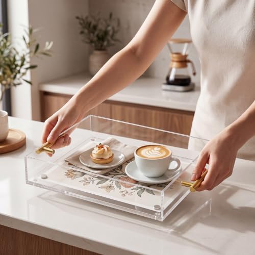 Novabright 2 Pack Clear Acrylic Serving Tray with Magnetic Mat Insert