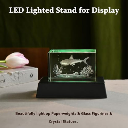 IFOLAINA LED Light Base Multicolor Rectangle Display Stand for Crystal Art