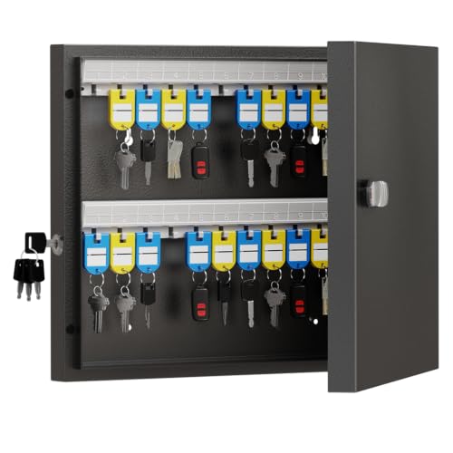 WeHere 48 Key Lock Box, Steel Key Cabinet with Combination Lock & Key - size: 2.3inx11.3inx15.7in
