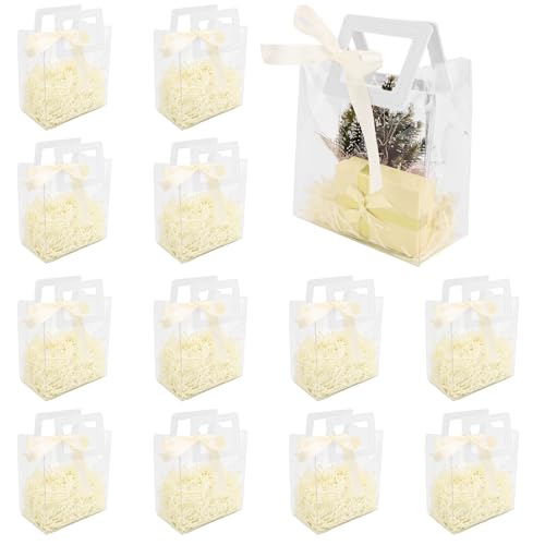 KEUKORZ 12 PCS Clear PVC Gift Bags with Handles Reusable Transparent - color: White