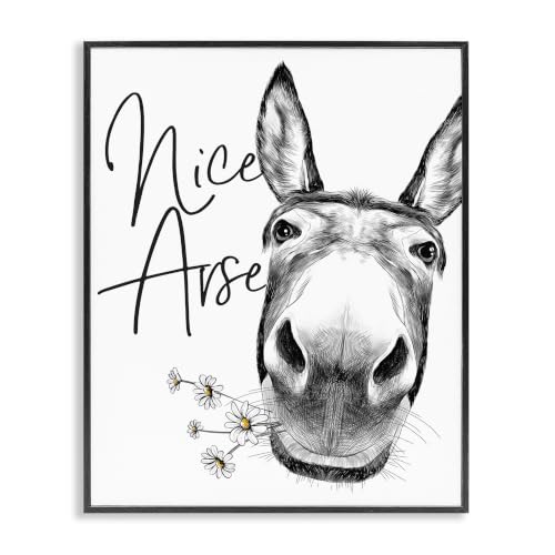 Stupell Industries 'Nice Arse Donkey Pun', Framed Giclee Art, Black, 16 x 20 Inches, Easy to Hang and Sturdy, Made in USA, by Lettered and Lined - color: Donkey Humor Botanical, size: 20"L x 16"W