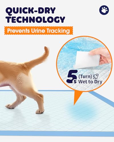 Powools Puppy Pads, 22 x 22 in, Super Absorbent, Spill-Proof, 100 Packs - size: 22" × 22" - 100 Packs
