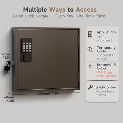 WeHere 60 Key Lock Box Wall Mount, Smart Key Cabinet with Keypad for Office - size: 60-Keys