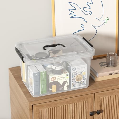 18 Quart Plastic Latch Bins, Clear Storage Boxes with Lids, 6 Packs - size: 18 Quart