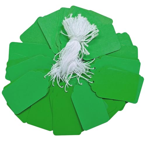 200 Pcs 2.76'' x 1.57'' Green Blank Jewelry Price Tags with String Attached Retail Paper Gift and Sale Hang Tag Handwritten Price Display Lables for Pricing Clothes Necklace & Merchandise - color: Green, size: 2.76x1.57 inches-200P