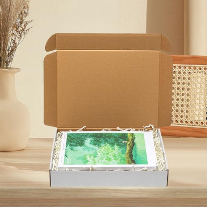 Wowxyz 12x9x2 Inches Shipping Boxes 25 Pack Corrugated Cardboard White Box - size: 12x9x2"