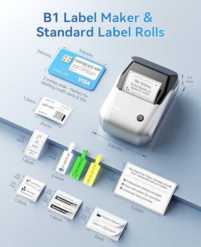 NIIMBOT B1 Label Maker, 2Inch Bluetooth Label Printer for Home, Sliver - color: Sliver, size: Printer+Tape