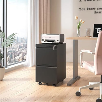 Guizeeopo 2 Drawer Locking File Cabinet, Fully Assembled Heavy-Duty Metal Filing Cabinets for Home Office, Quiet Slides, Anti-Tipping Wheels, Fits A4/Letter/Legal, Matte Black - color: 04-b Black