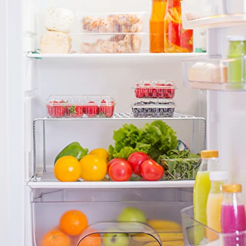 Tomorotec Spice Rack Cabinet Organizer, Expandable Steel, Kitchen, Silver - color: Silver-2 Pcs