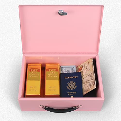 xydled Fireproof Document Box with Key Lock, Fire Safe Box, Pink - color: Pink, size: Large