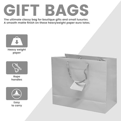 Novel Box Silver Gift Bags with Handles 10 Pack 9.25x3.75x7.25 Inches - color: Silver, size: Wide
