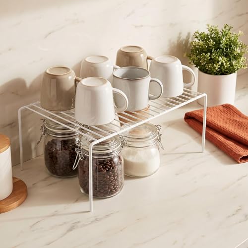 iPEGTOP Large (15.7 x 9.4 Inch) Kitchen Freezer Cabinet Storage Shelf, Set of 4 Rustproof Metal Wire Shelves Spice Shelf Rack Cupboard Organizer for Fridge Pantries Countertops Utensils, White - color: White(set of 4)