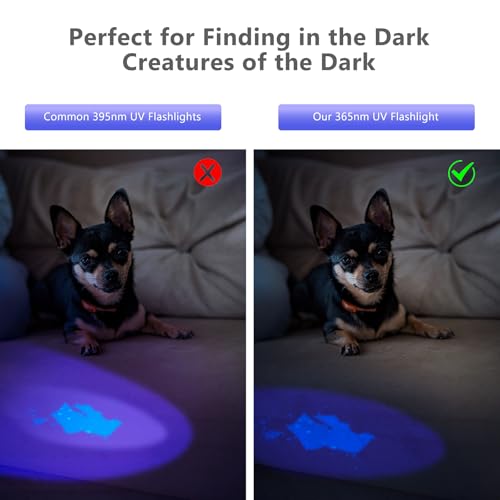 365nm UV Black Mirror Flashlight Rechargeable Detector for Blood Tracking