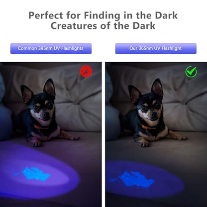 365nm UV Black Mirror Flashlight Rechargeable Detector for Blood Tracking