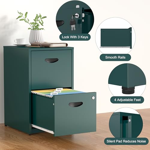 SteeLoong 2 Drawer File Cabinet,Metal Office File Cabinet with Lock,Green - color: Green, style: 2 Drawer Light Duty
